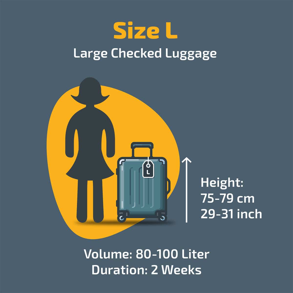 Suitcase Size L: Large Checked Luggage